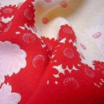 12200649_1672336866319678_1958292225_n (2)