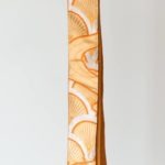 12203998_1519839858339644_480772127_o