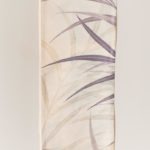 12207455_1519839951672968_405702882_o