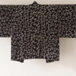 DVP_9501