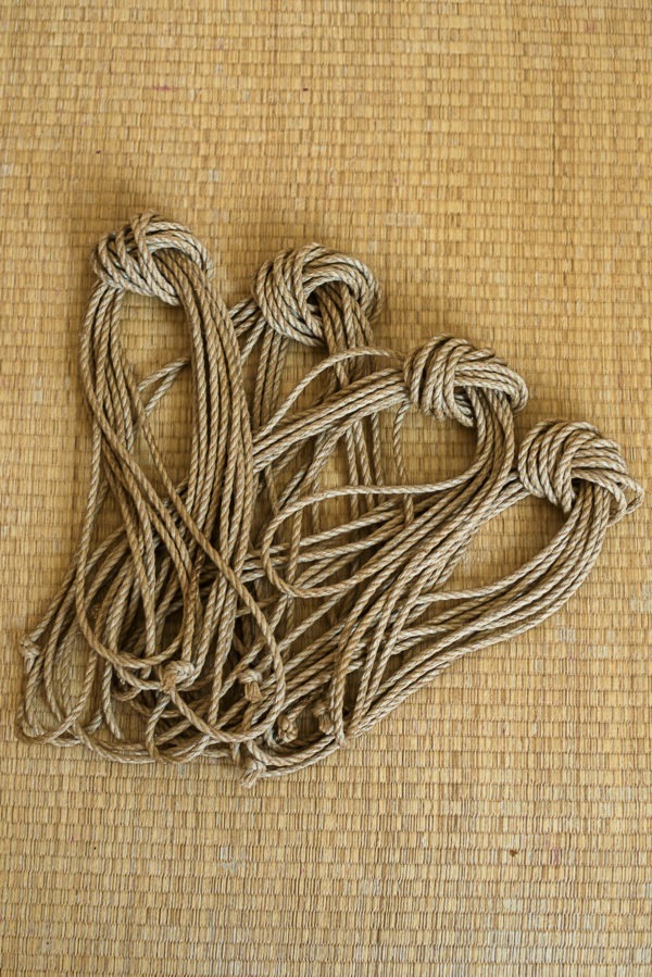 Le pack de 4 cordes Ogawa naturelles 6mm