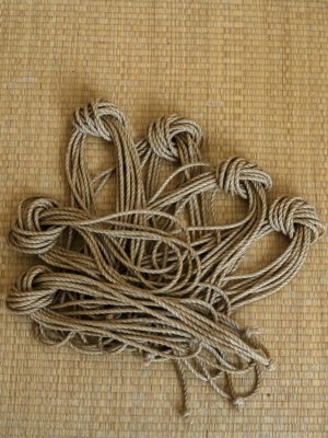 Pack 6 cordes Ogawa 6 mm